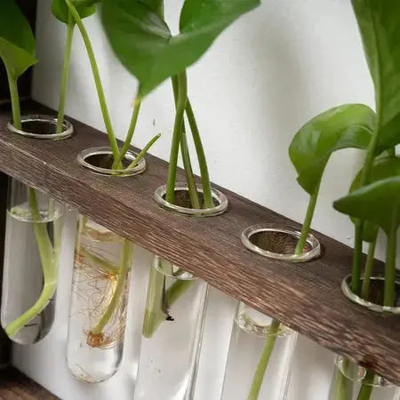 Wall hanging wooden frame glass hydroponic vase creative retro bedroom living room fresh simple decorative wooden frame glass hydroponic WenstaUSA