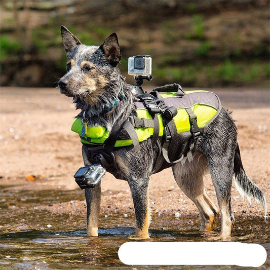 Sports camera full range dog walking video holder dog leash dog harness can be installed with two cameras WenstaUSA