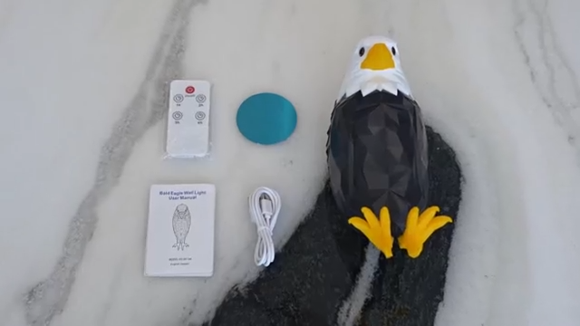 Bald Eagle Wall Light with Remote Control, Magnetic Led Mounted Eagle Lamp, USB Charging & Battery Operated Indoor Light WenstaUSA